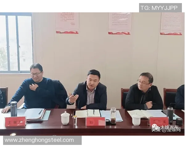 杨军谈飞盘发展历程与未来展望的深度专访 杨军谈飞盘发展历程与未来展望的深度专访