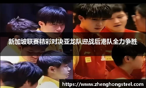 3377体育官网